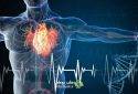 درمان گرفتگی عروق قلب با طب سنتی