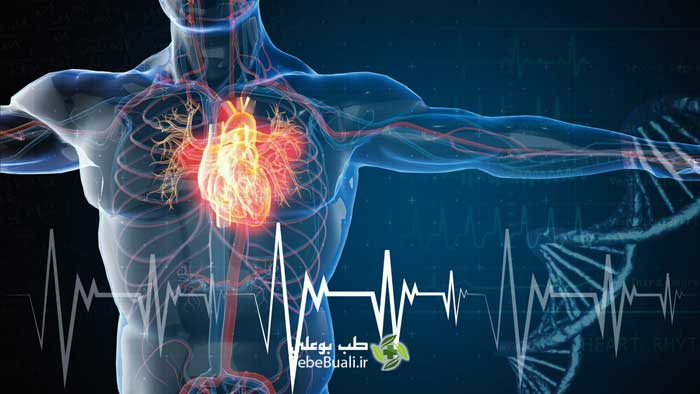 درمان گرفتگی عروق قلب با طب سنتی