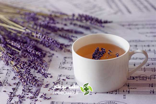 lavandula herbal tea